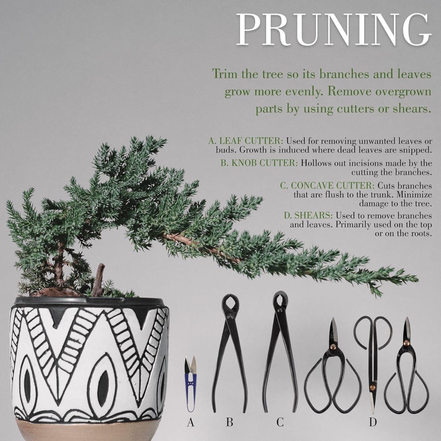 Juego de Herramientas para Bonsai BambooMN 15 Piezas