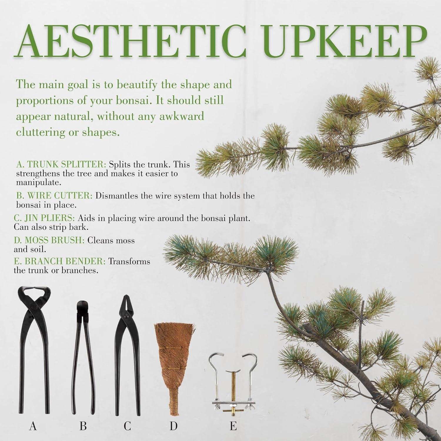 Juego de Herramientas para Bonsai BambooMN 15 Piezas