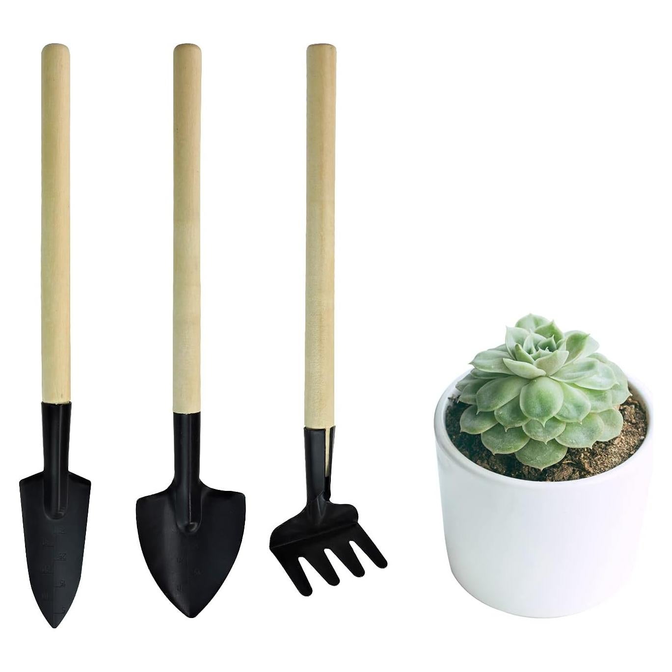 Set de Herramientas de Jardinería Mini Andiker 3 Piezas