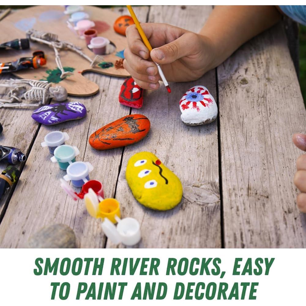 Kit de Pintura de Rocas de Río PGN - 40 Piezas 5-10 cm