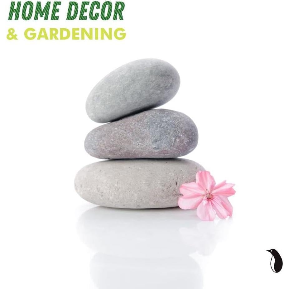 Kit de Pintura de Rocas de Río PGN - 40 Piezas 5-10 cm