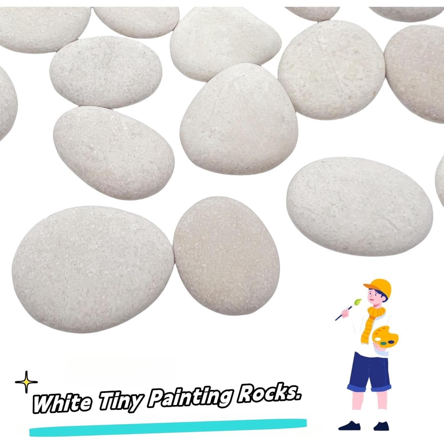 Piedras de Pintura Blancas 2LB CYLHCM 1-1.5" para Manualidades
