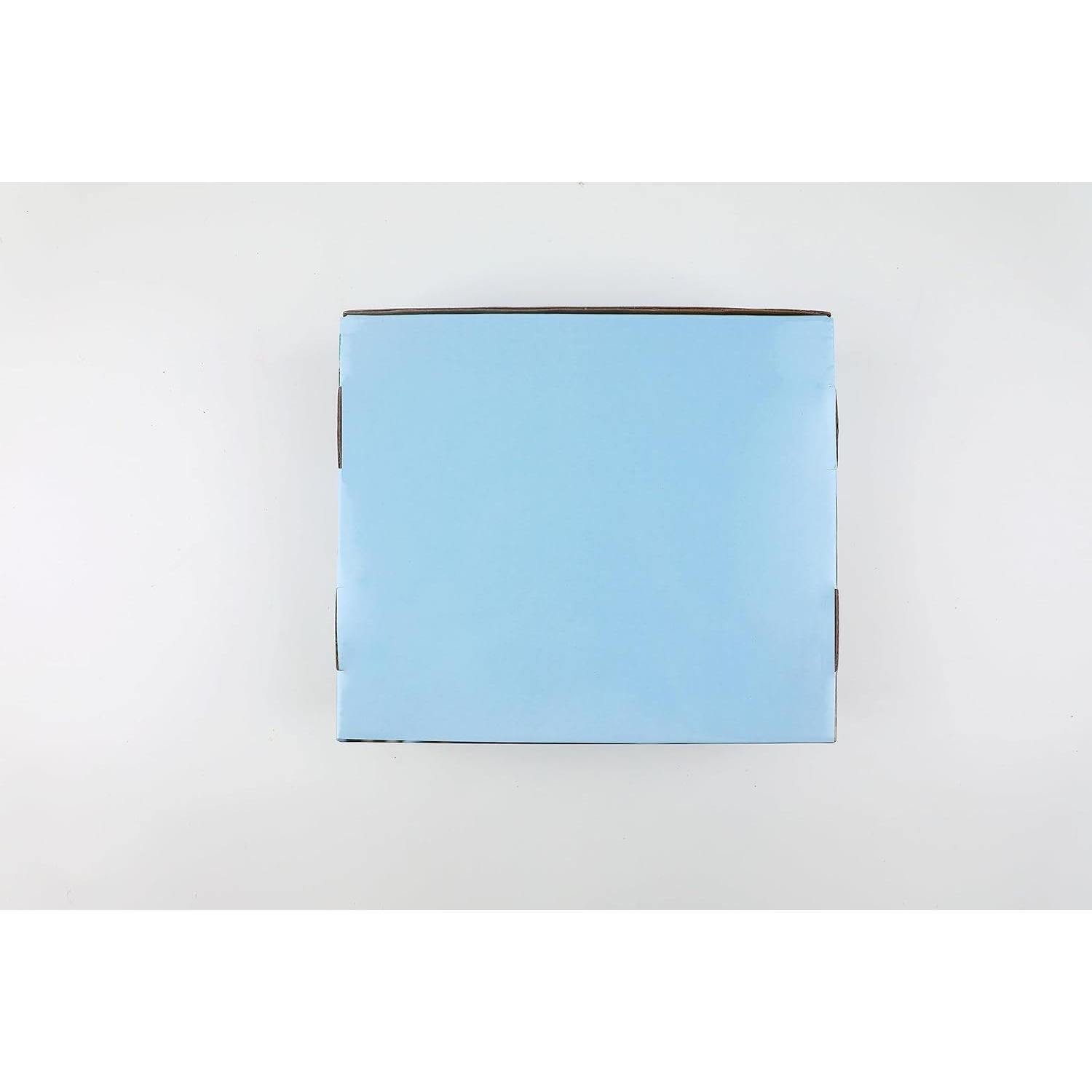 Kit de Pintura de Rocas Halobios - 12 Rocas, 12 Pinturas Acrílicas