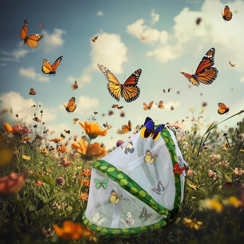 Jaula de Hábitat para Mariposas Petwellhome 19.81 cm x 27.94 cm