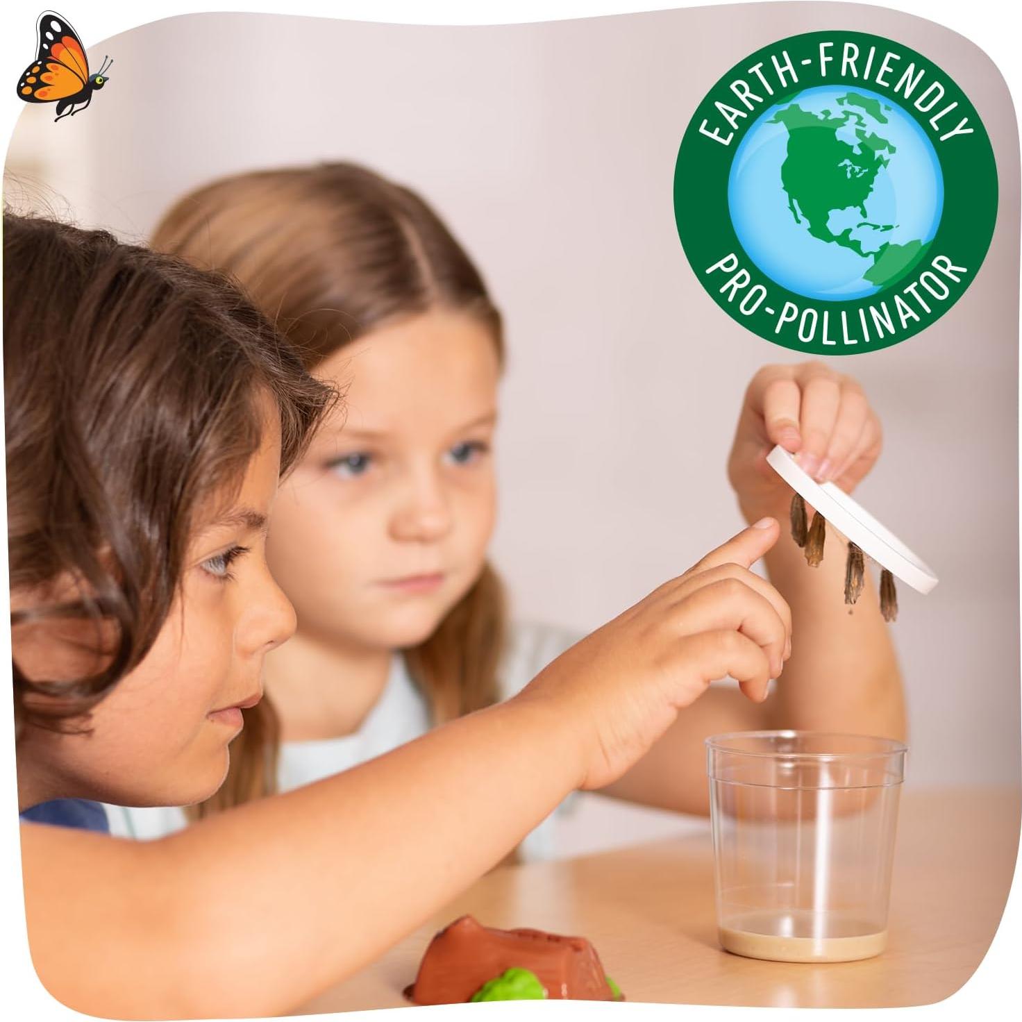 Kit de Recarga Insect Lore - 5 Orugas Pintadas Vivas