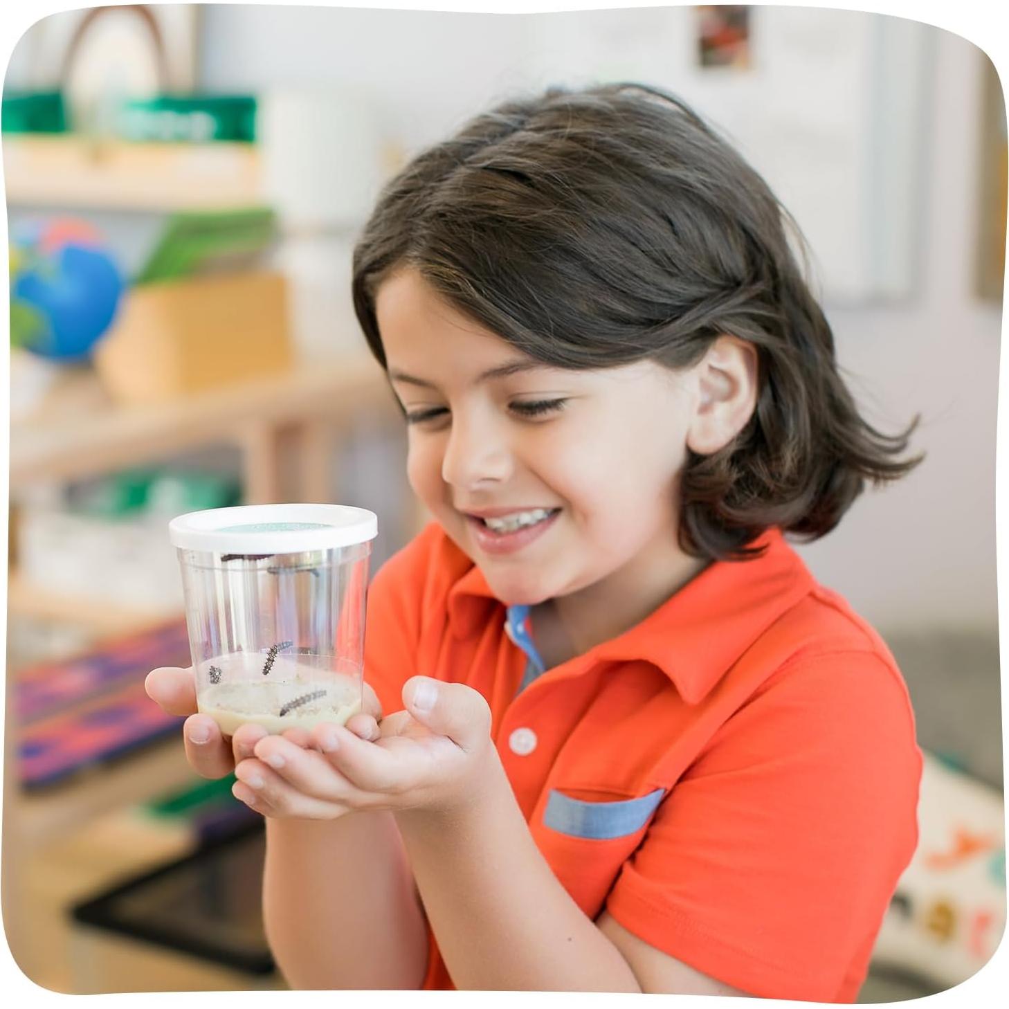 Kit de Recarga Insect Lore - 5 Orugas Pintadas Vivas