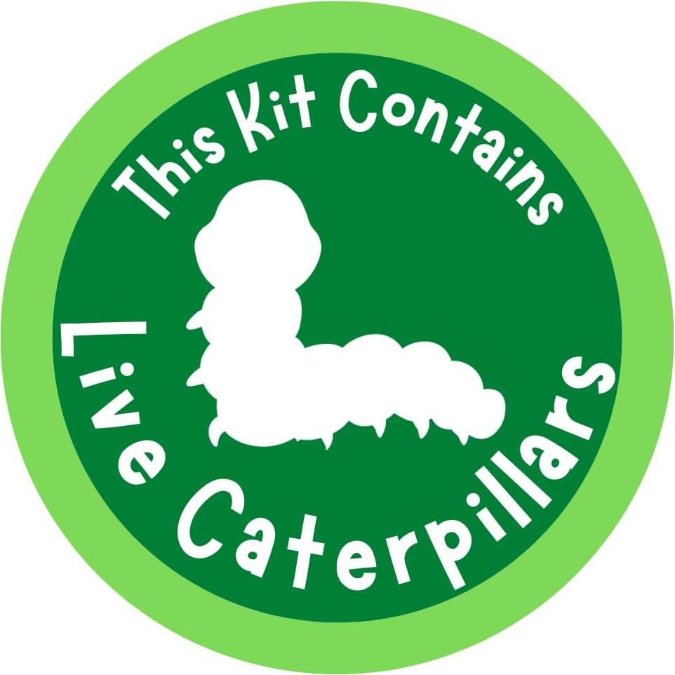 Kit de Recarga Insect Lore - 5 Orugas Pintadas Vivas