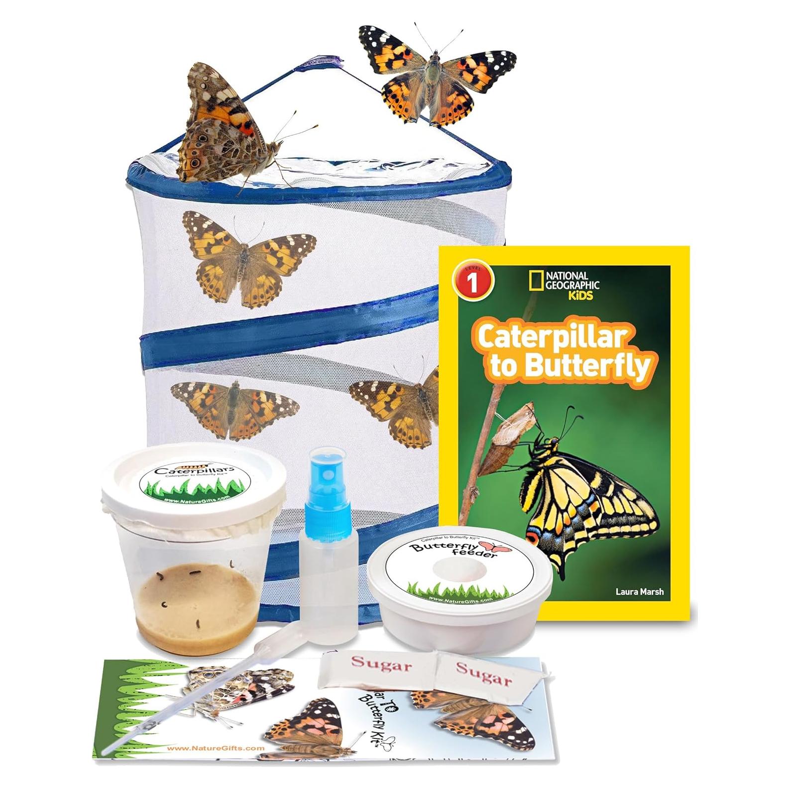 Kit de Criar Mariposas Vivas Nature Gift Store - 5 Orugas + Jaula 30.48 cm