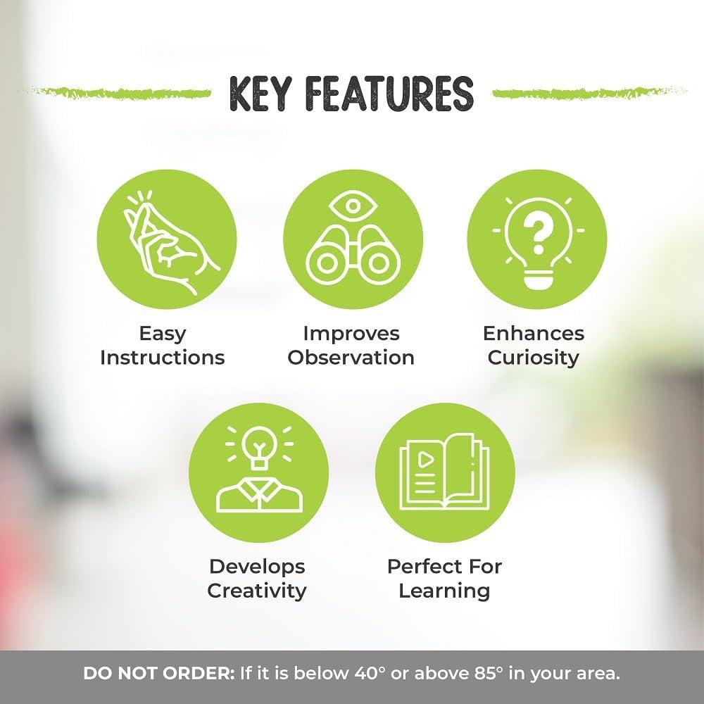 Kit de Criar Mariposas Vivas Nature Gift Store - 5 Orugas + Jaula 30.48 cm