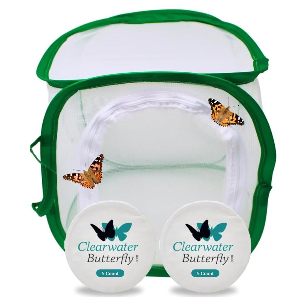 Kit de Crecimiento de Mariposas Clearwater - 10 Orugas Vivas