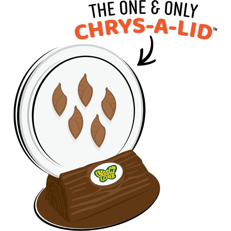 Jardín de Mariposas Insect Lore con Hábitat y Vale Prepagado