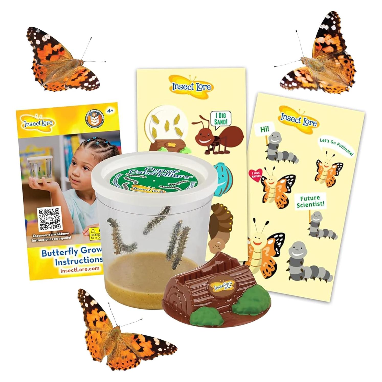 Taza de Orugas Insect Lore | 5 Orugas Vivas Dama Pintada