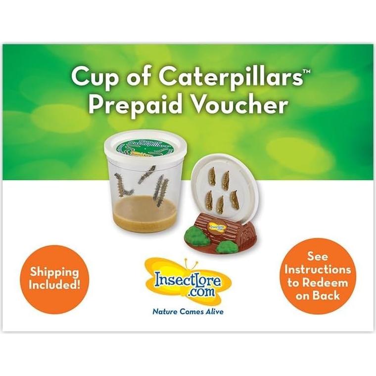 Jardín de Mariposas Insect Lore con Vale para 5 Orugas Vivas