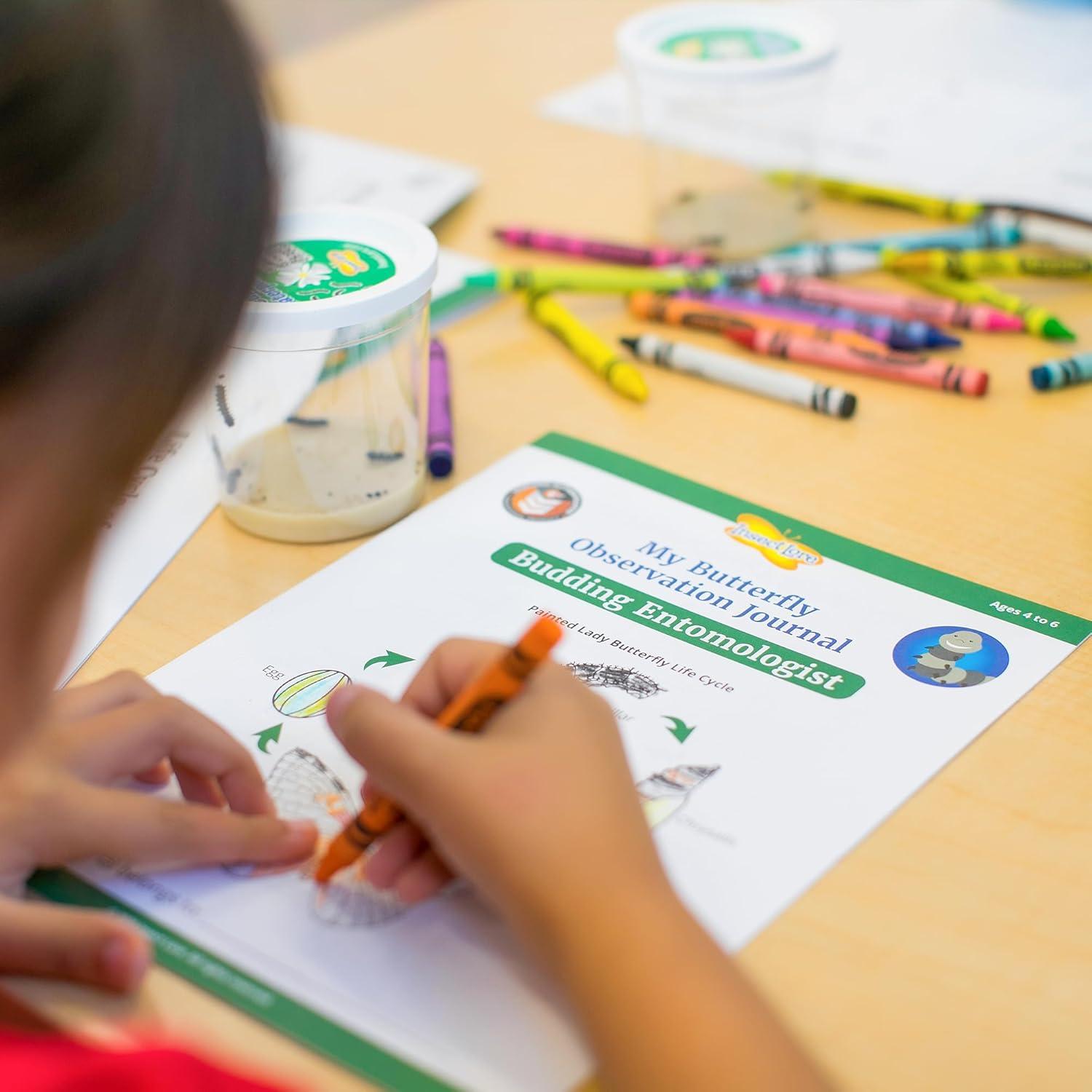 Jardín de Mariposas Insect Lore con Vale para 5 Orugas Vivas