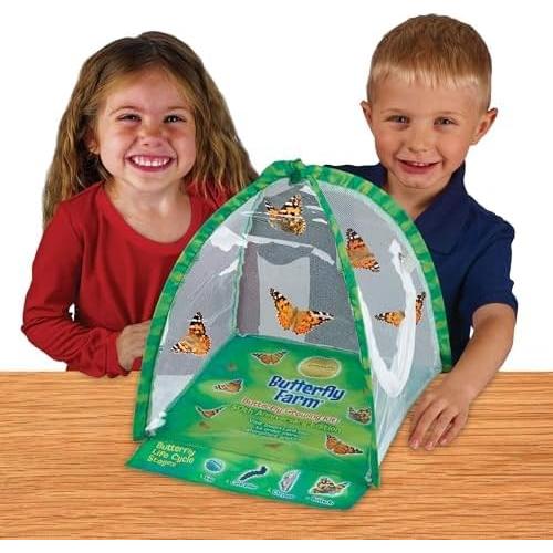 Jardín de Mariposas Insect Lore con Vale para 5 Orugas Vivas