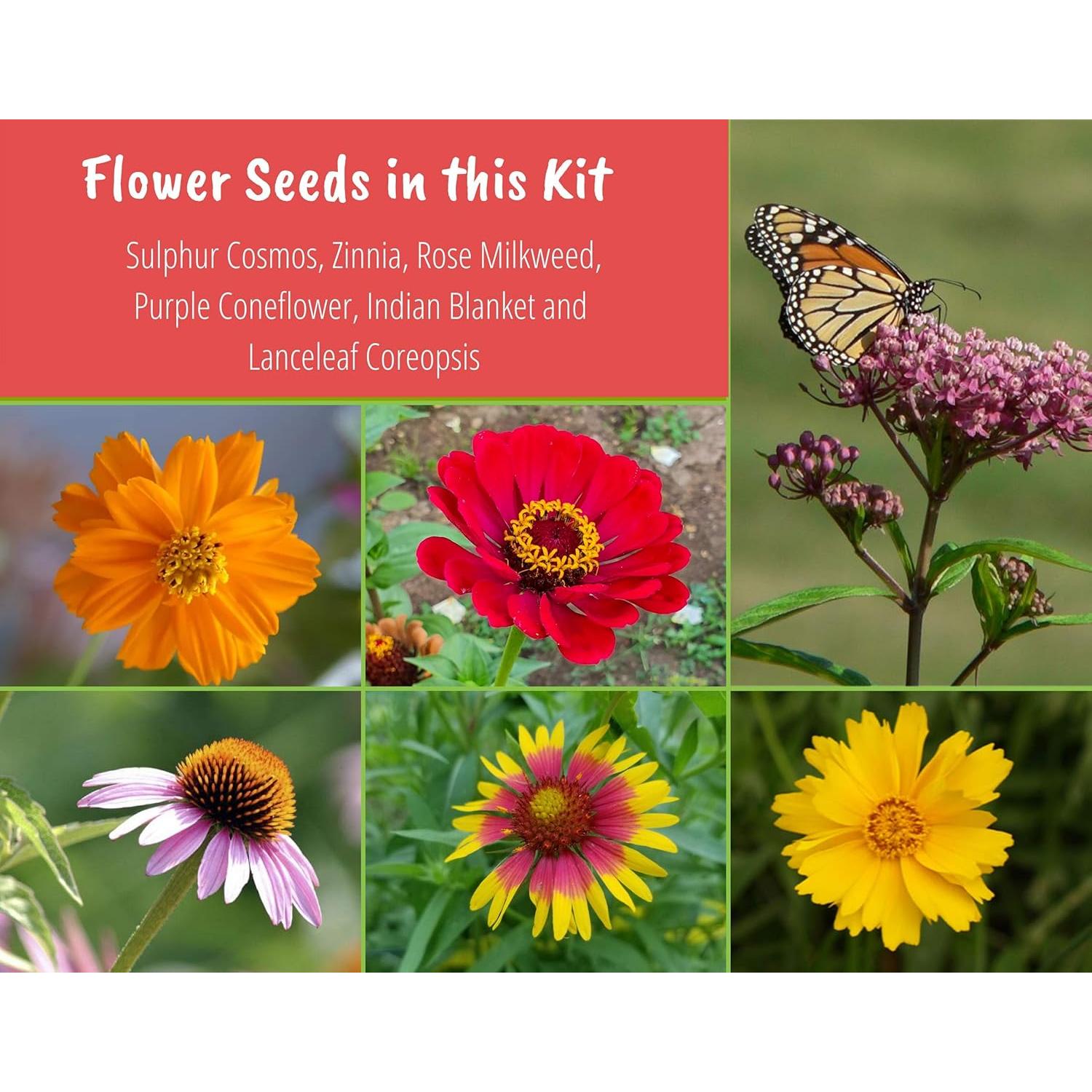 Kit de Inicio de Semillas de Flores Silvestres Nuggets of Nectar
