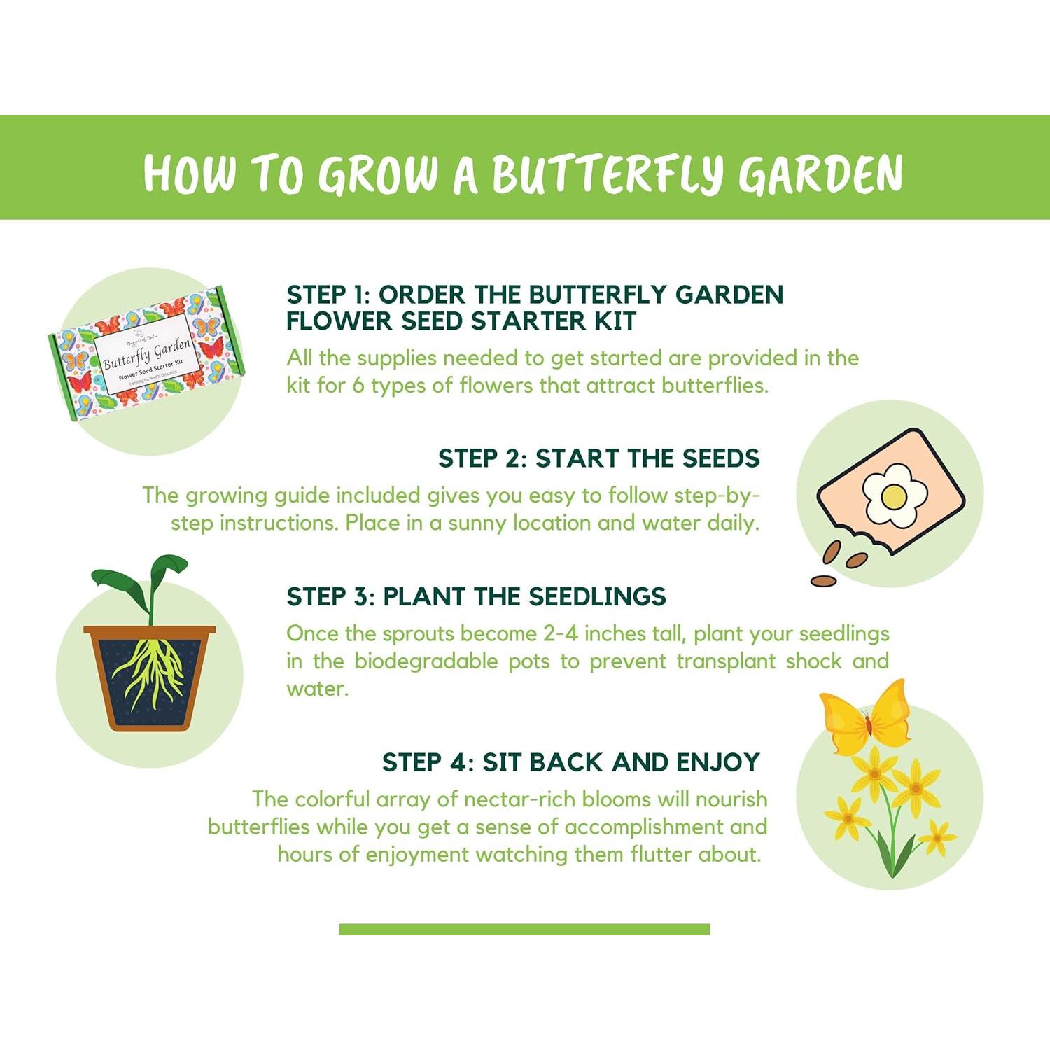 Kit de Inicio de Semillas de Flores Silvestres Nuggets of Nectar