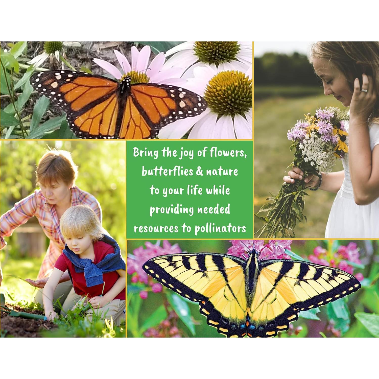 Kit de Inicio de Semillas de Flores Silvestres Nuggets of Nectar