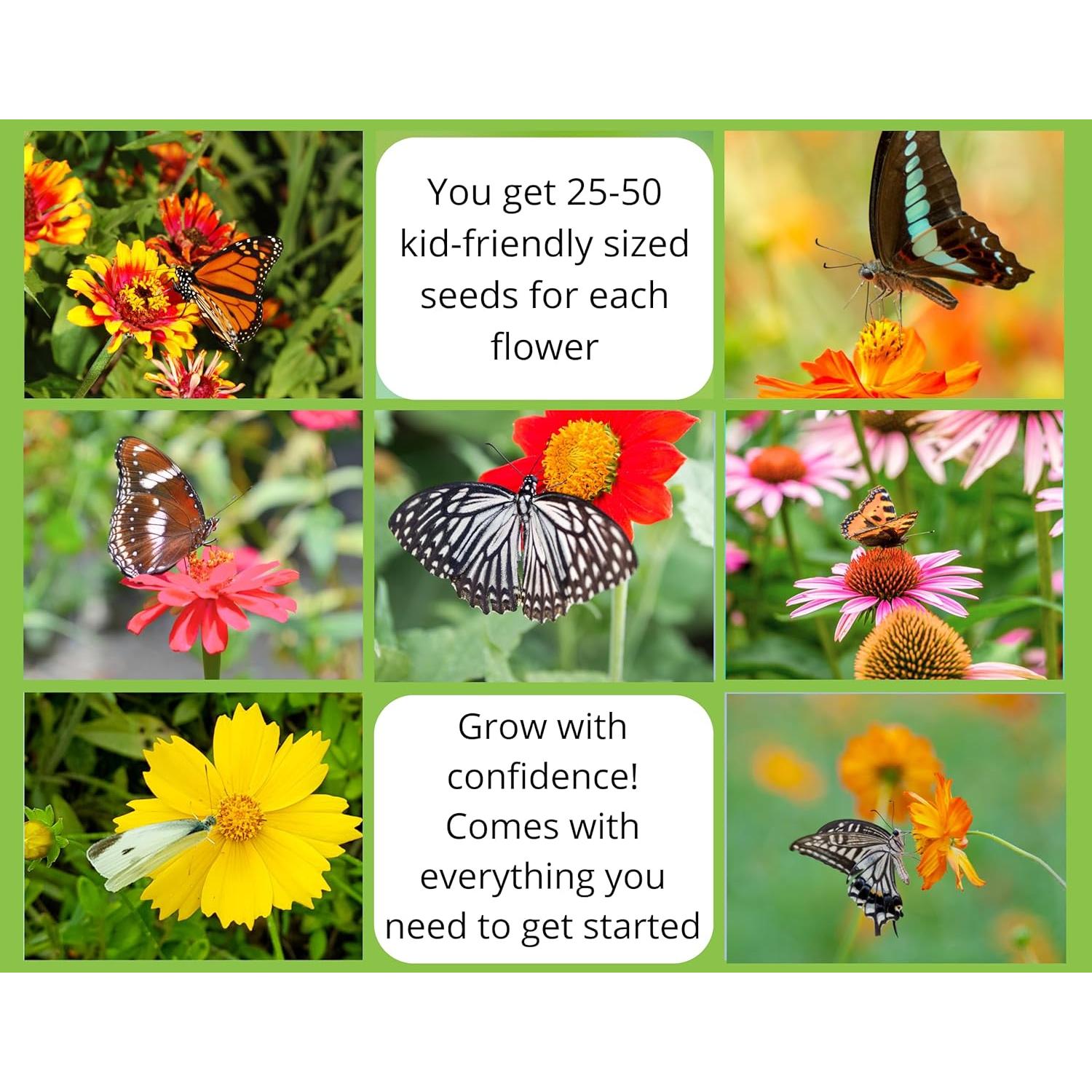 Kit de Inicio de Semillas de Flores Silvestres Nuggets of Nectar