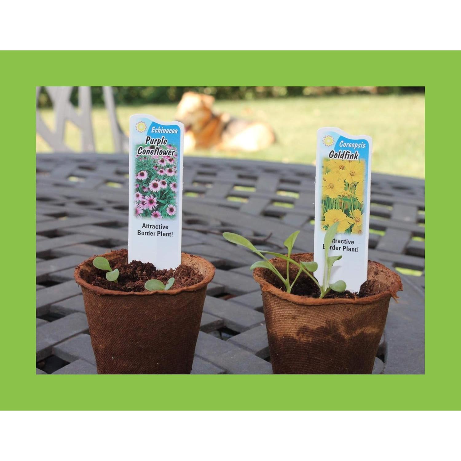 Kit de Inicio de Semillas de Flores Silvestres Nuggets of Nectar