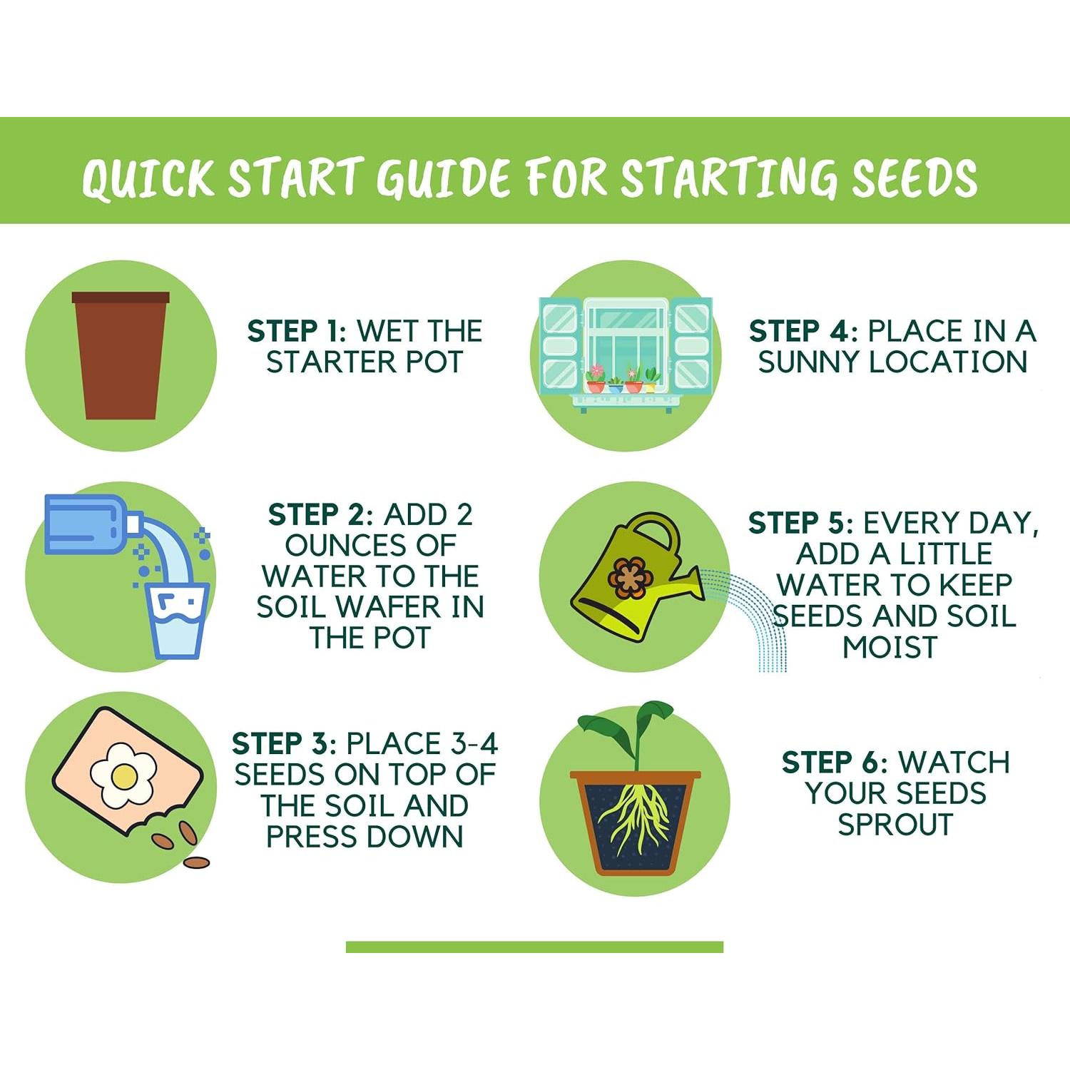 Kit de Inicio de Semillas de Flores Silvestres Nuggets of Nectar