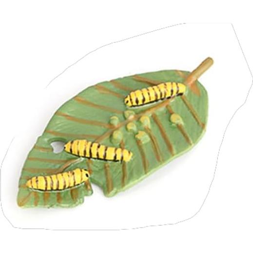 Ciclo de Vida de Mariposa Hvogvok - Modelo Educativo Infantil