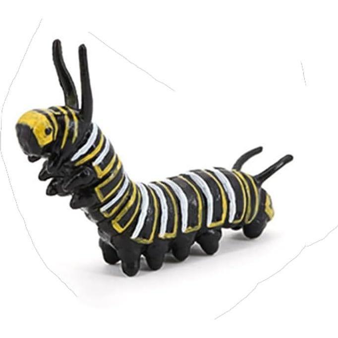 Ciclo de Vida de Mariposa Hvogvok - Modelo Educativo Infantil