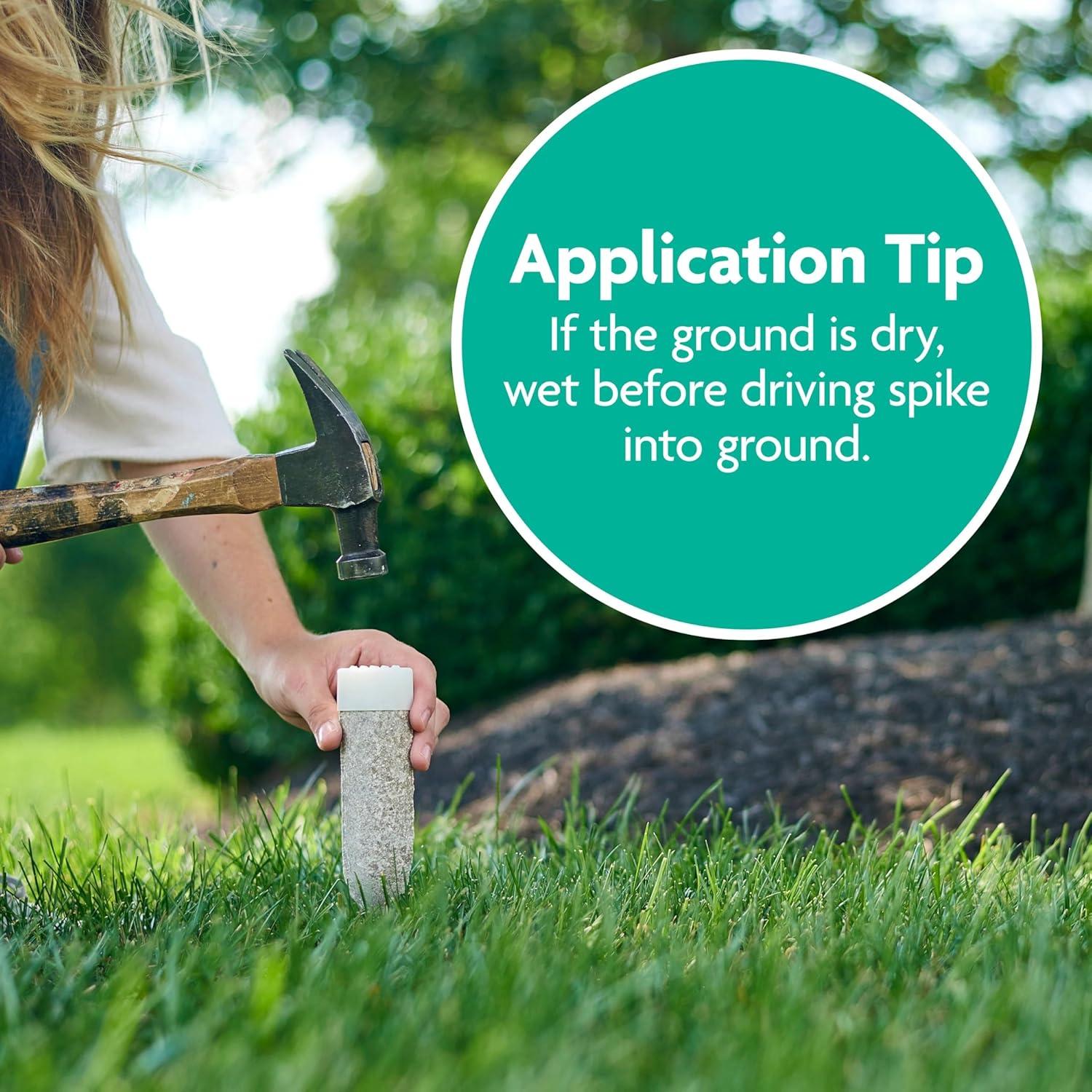 Picos de Alimento para Plantas Miracle-Gro - 12 Picos para Árboles y Arbustos