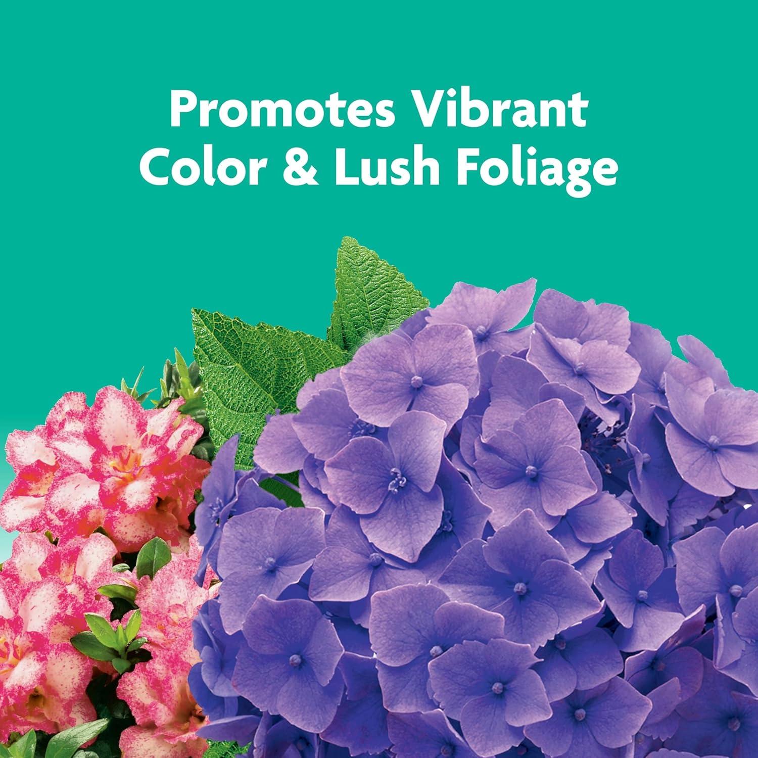 Picos de Alimento para Plantas Miracle-Gro - 12 Picos para Árboles y Arbustos