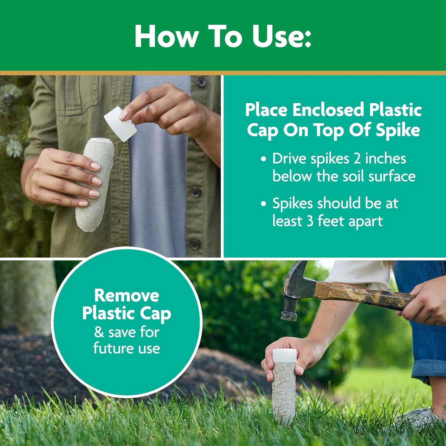 Picos de Alimento para Plantas Miracle-Gro - 12 Picos para Árboles y Arbustos