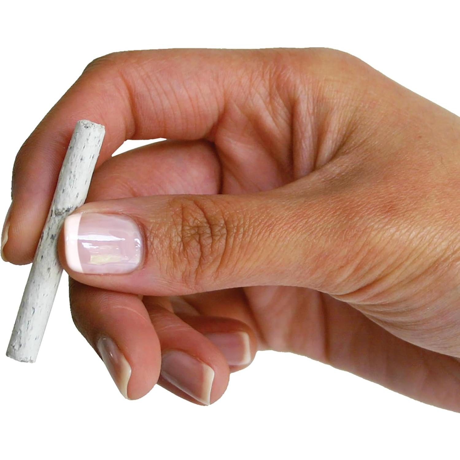 Picos de Fertilizante Jobe's 50 Unidades para Plantas de Interior