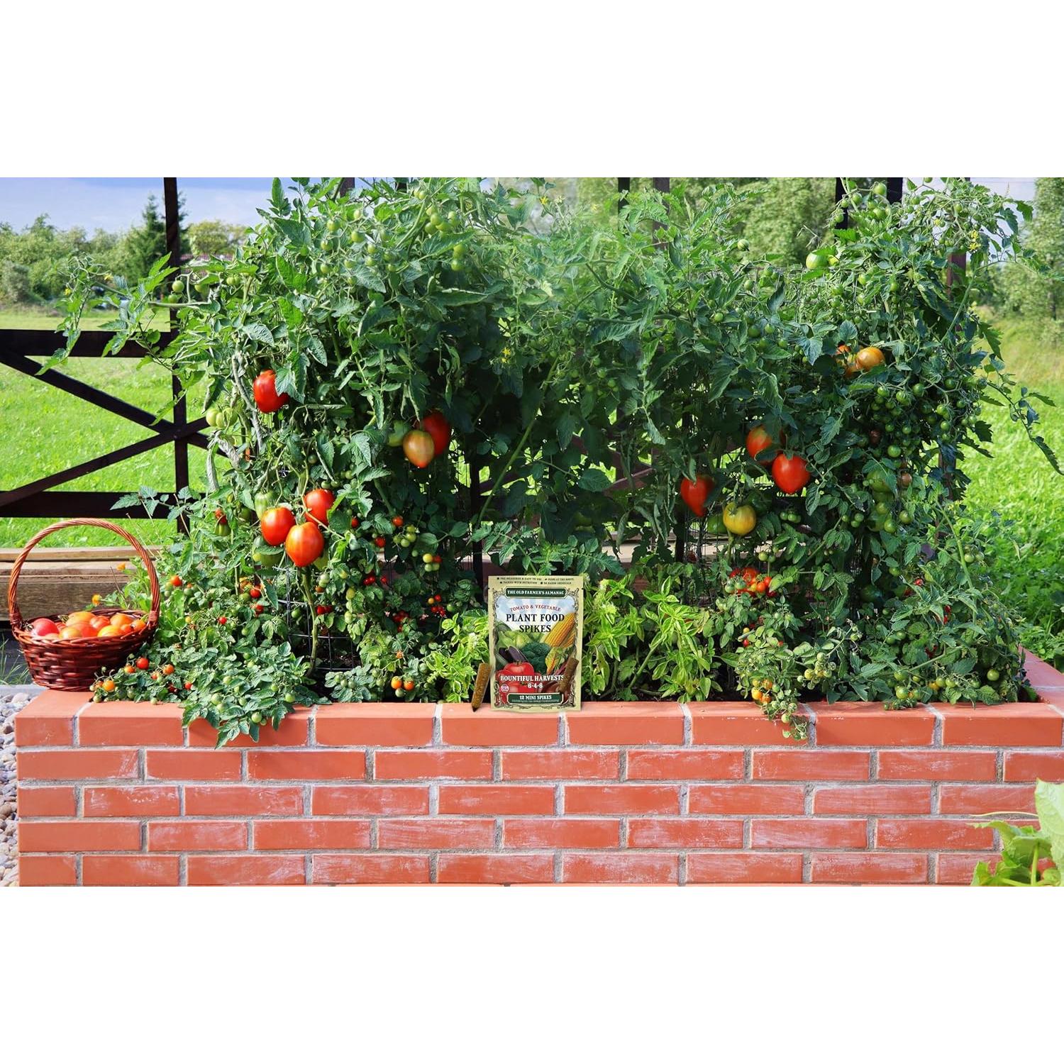 Alimento para Plantas de Tomate y Verduras Mini Picos NPK 6-4-6 - 24 Unidades