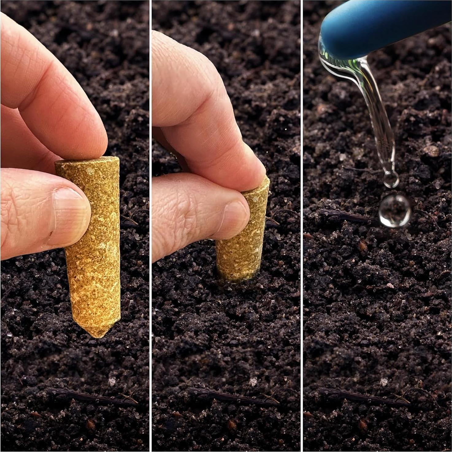 Alimento para Plantas de Interior y Flores Mini Picos 12 Unidades NPK 5-5-5