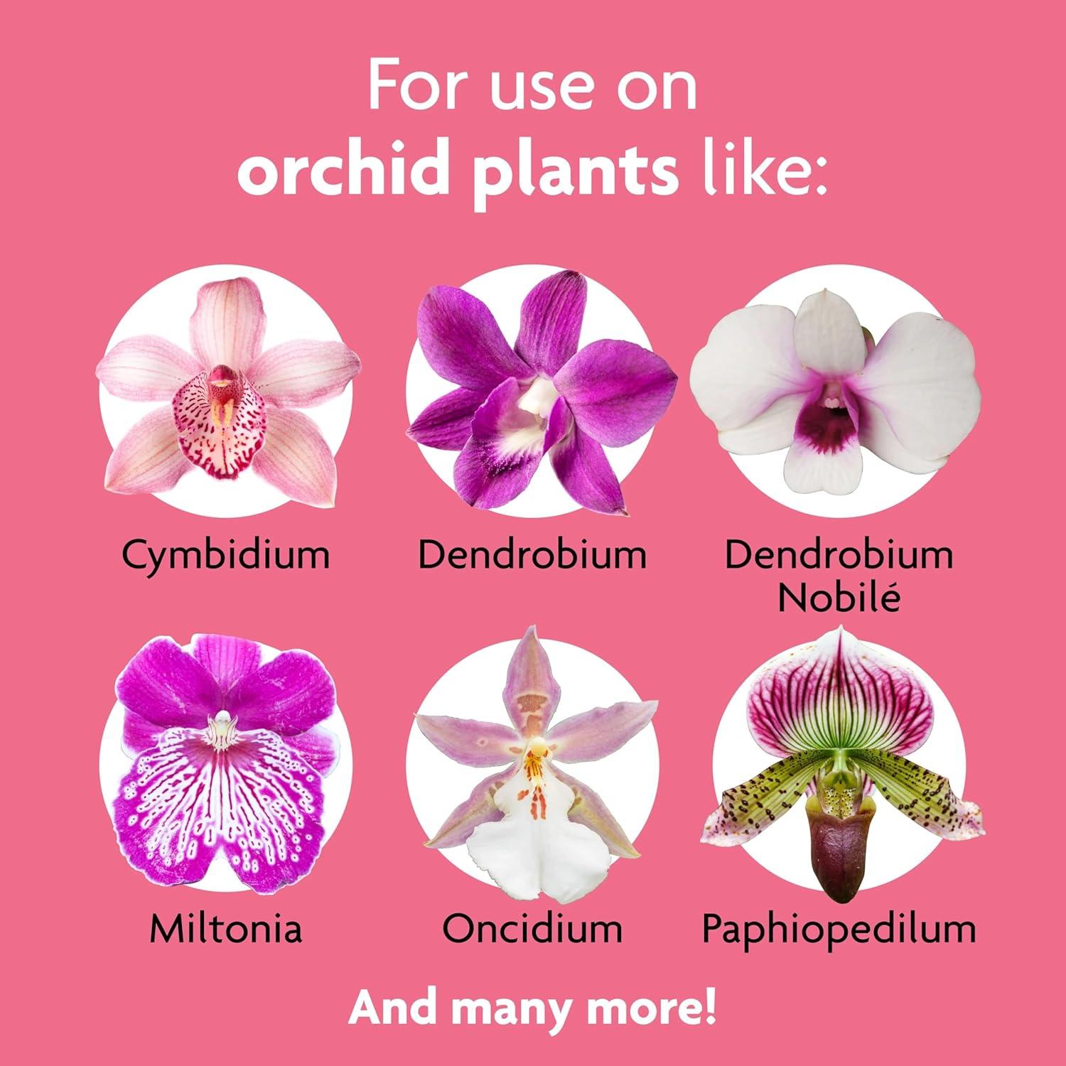 Alimentos en Espigas para Orquídeas Miracle-Gro 10 Unidades
