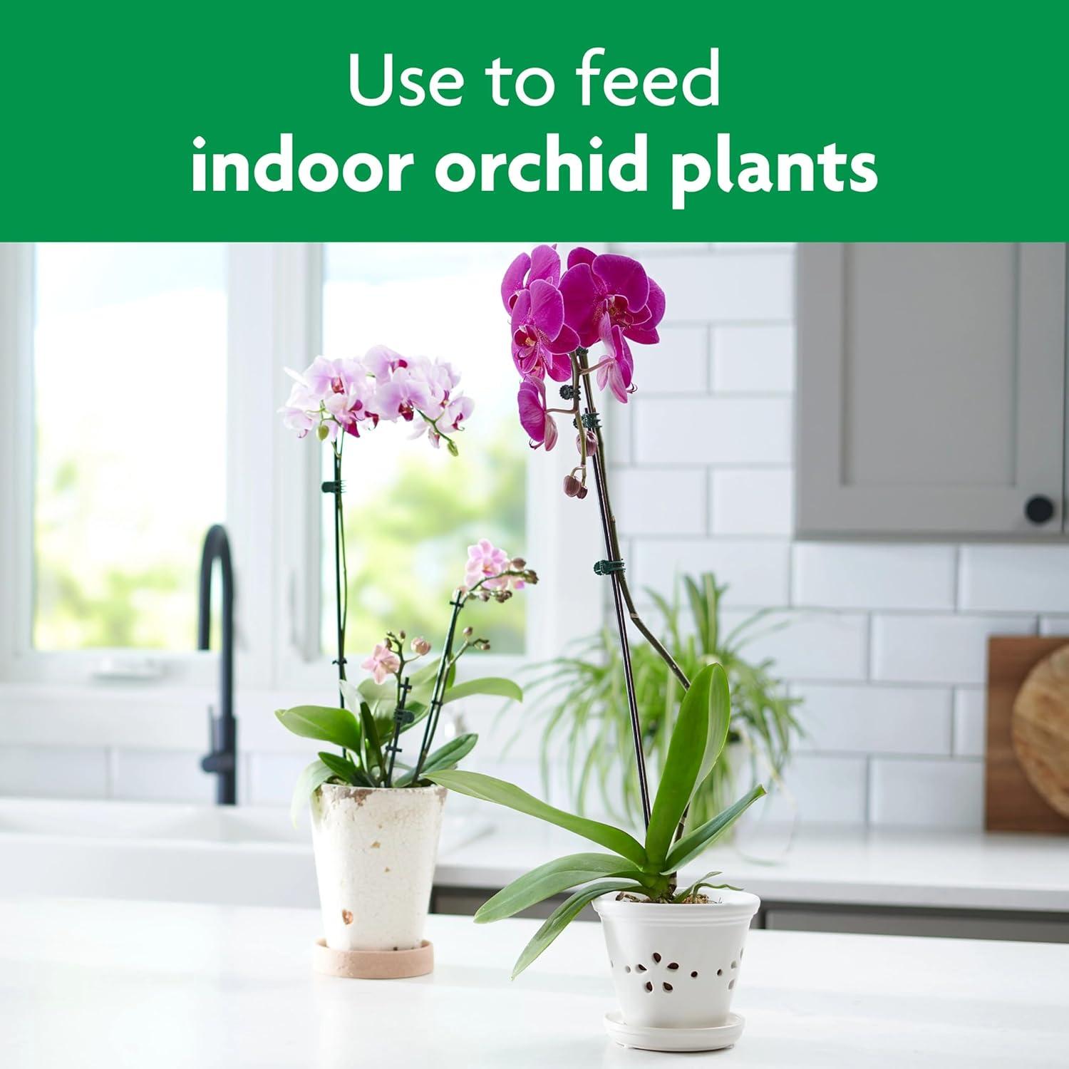 Alimentos en Espigas para Orquídeas Miracle-Gro 10 Unidades