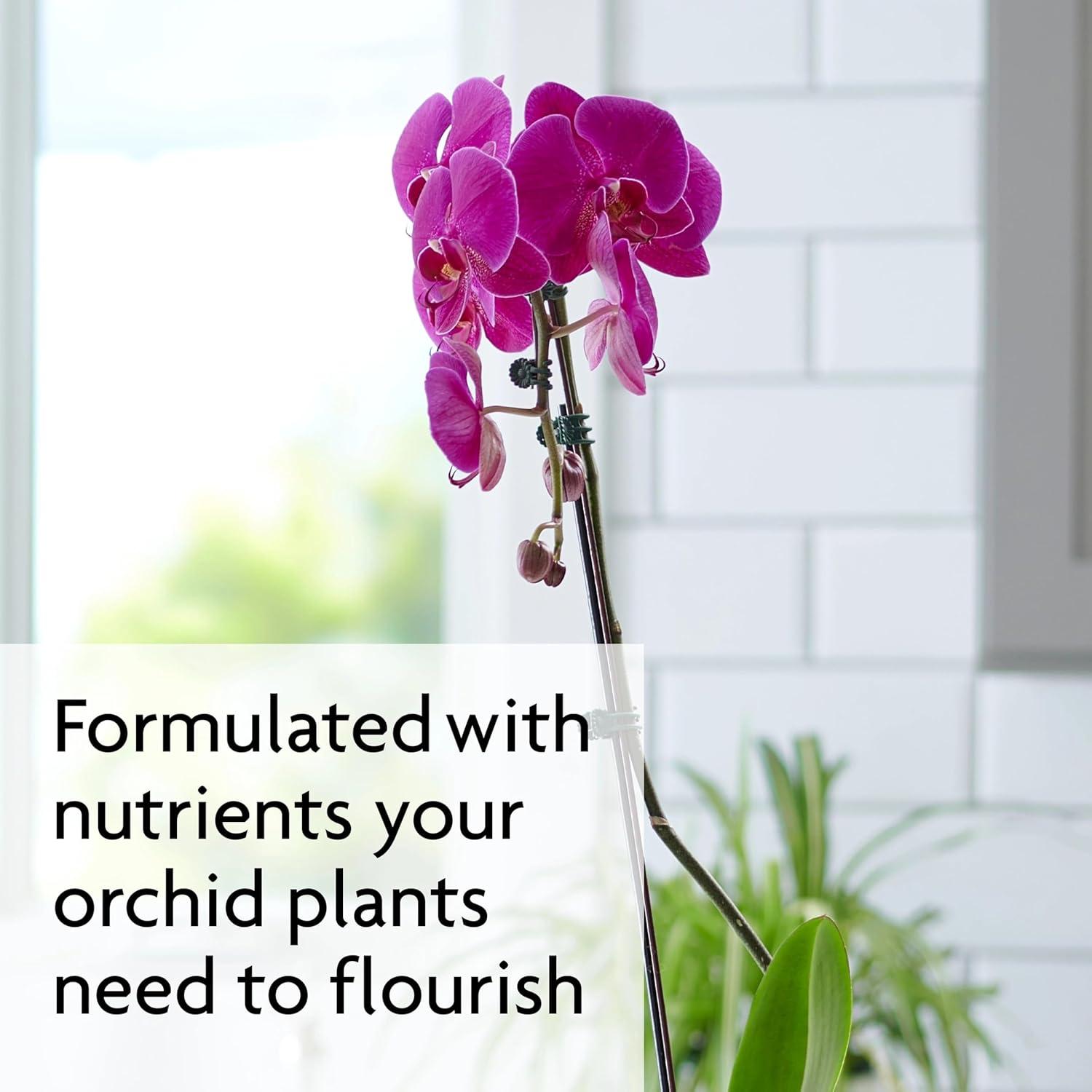 Alimentos en Espigas para Orquídeas Miracle-Gro 10 Unidades