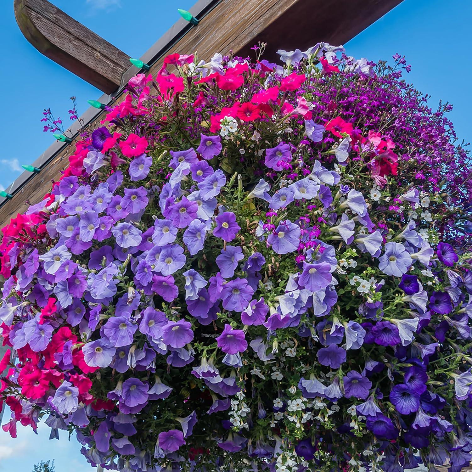 Picos de Fertilizante Jobe's 18 Unidades para Plantas en Macetas