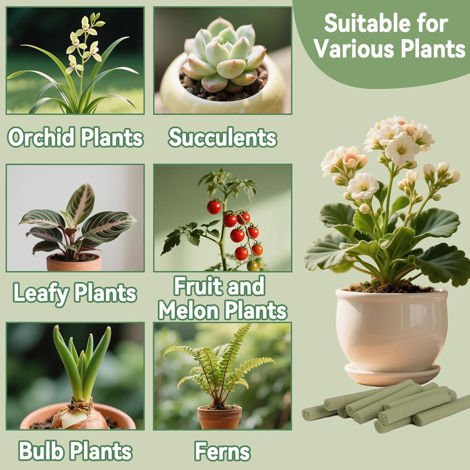 90 Piezas Espigas de Fertilizante Orgánico RAINFLOW 180 Días