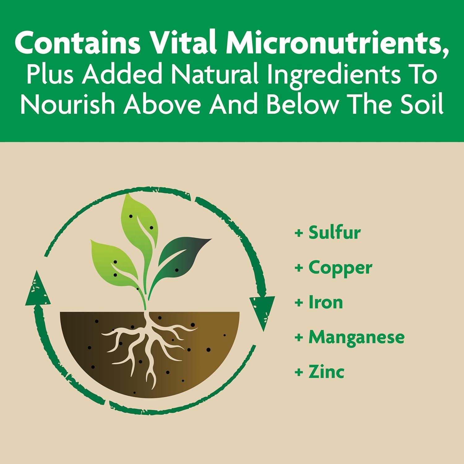 Alimento para Plantas Miracle-Gro 0.45 kg - Tomate, Frutas y Verduras