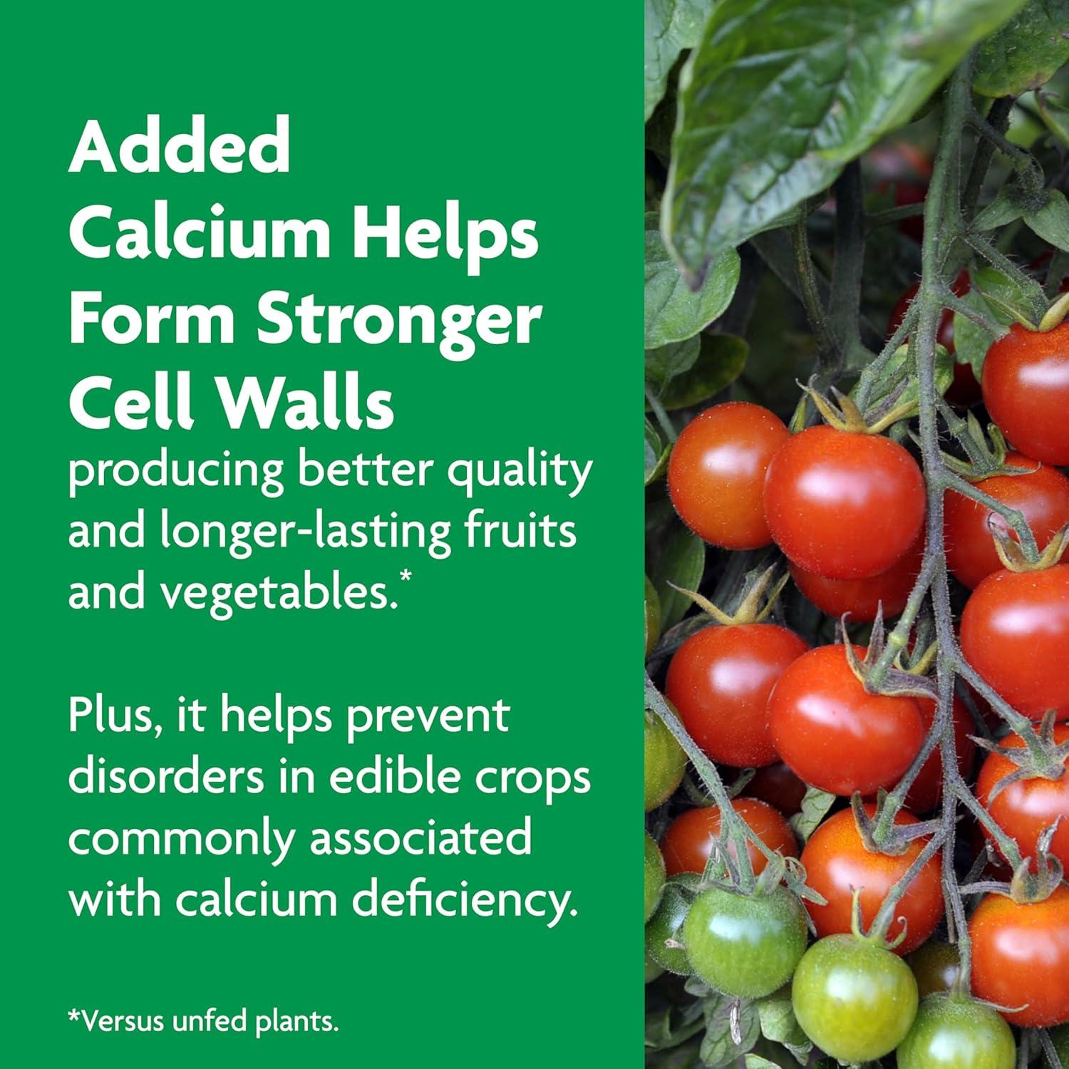 Alimento para Plantas Miracle-Gro 0.45 kg - Tomate, Frutas y Verduras