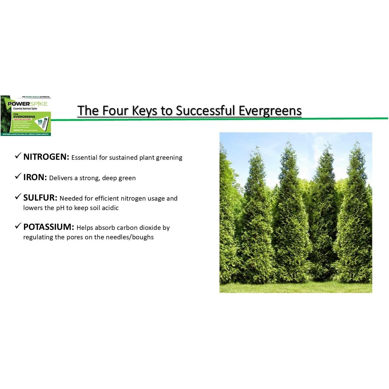 Pico de Poder Nutriente para Siempreverdes - 10 Picos (1.45 kg)