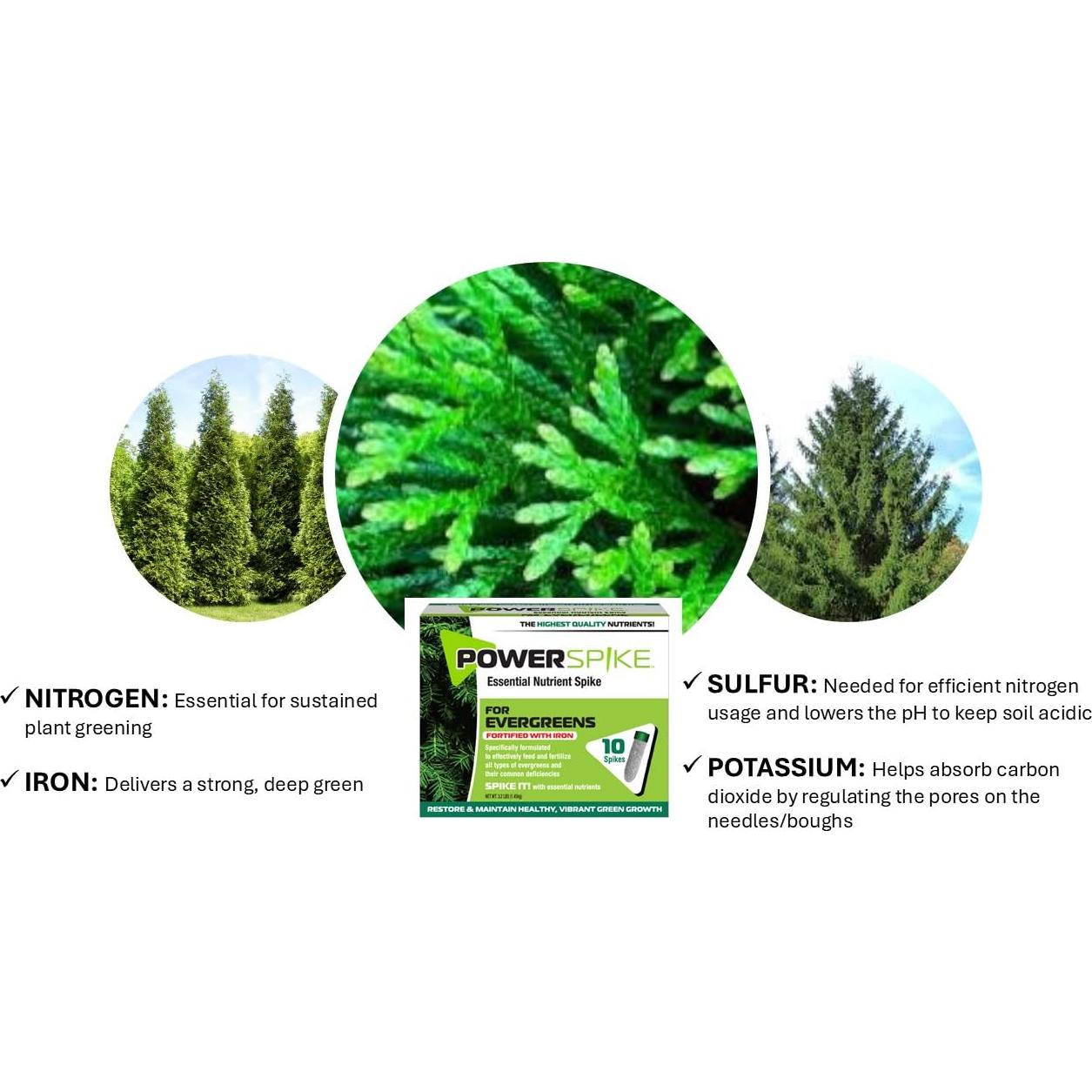 Pico de Poder Nutriente para Siempreverdes - 10 Picos (1.45 kg)