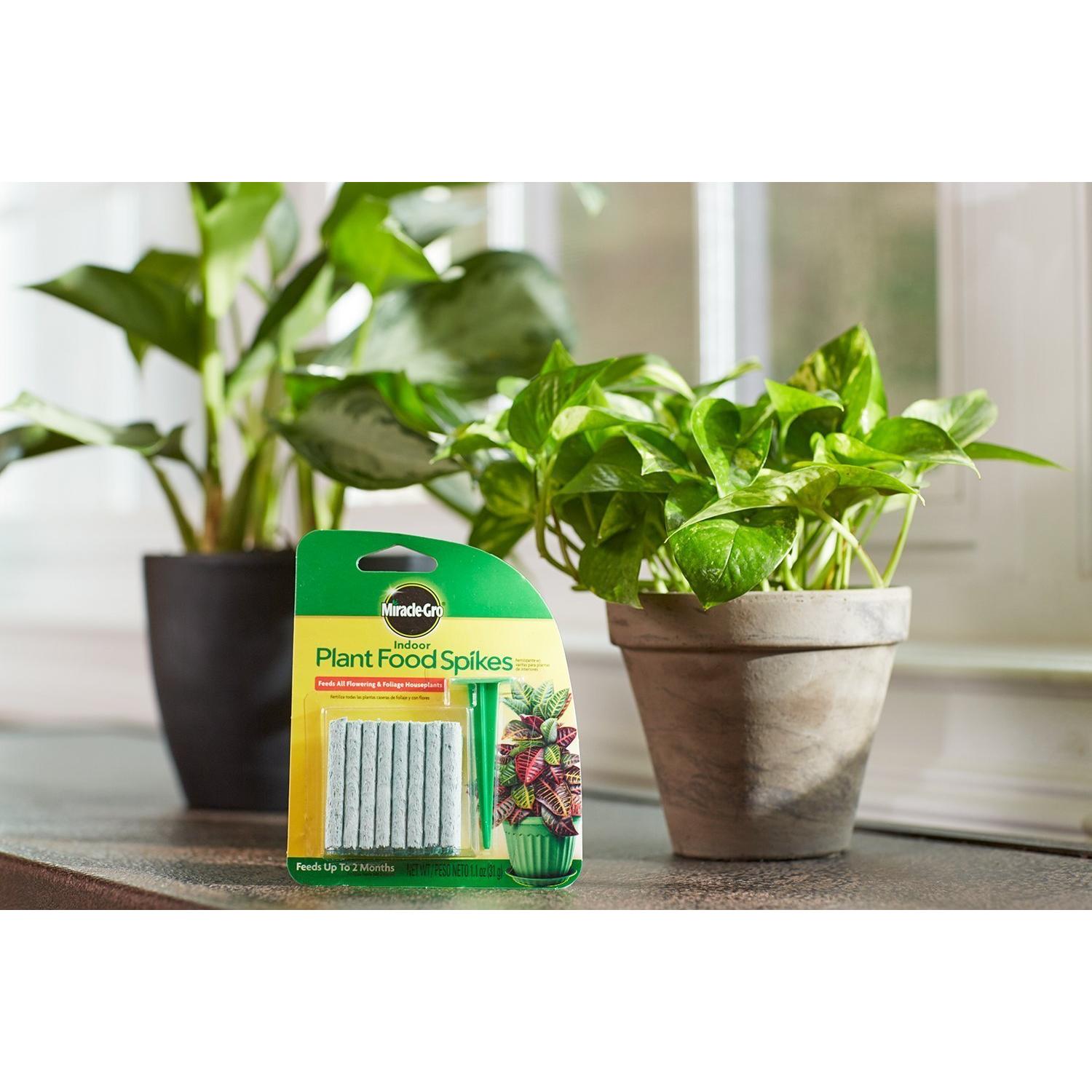 Picos de Alimento para Plantas de Interior Miracle-Gro 4 Paquetes
