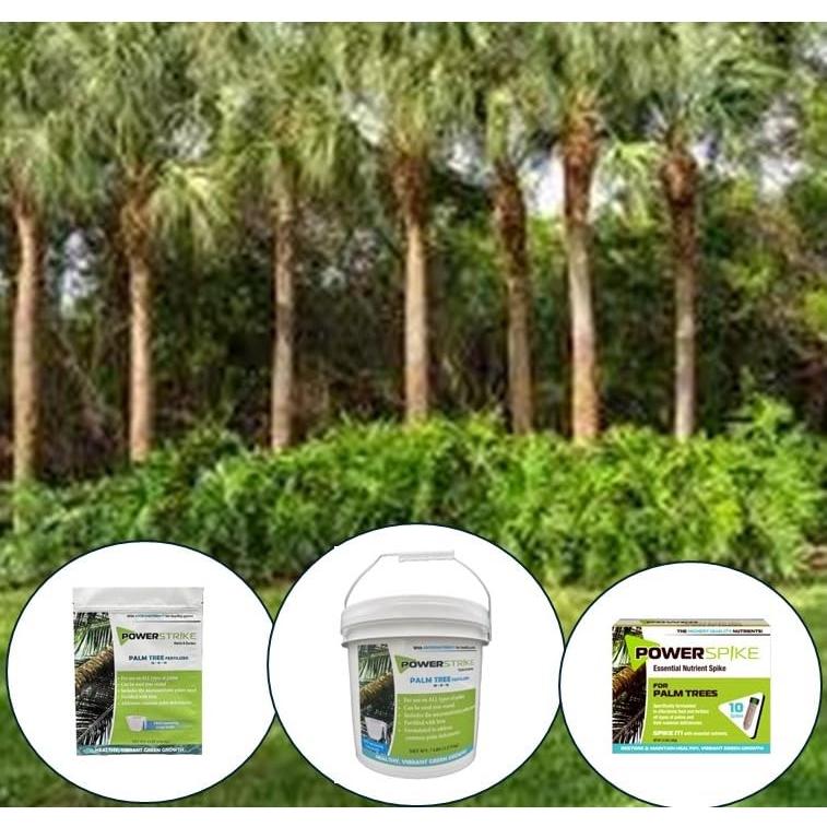 Espiga de Fertilizante para Palmeras JVH 10 Unidades 1.45kg