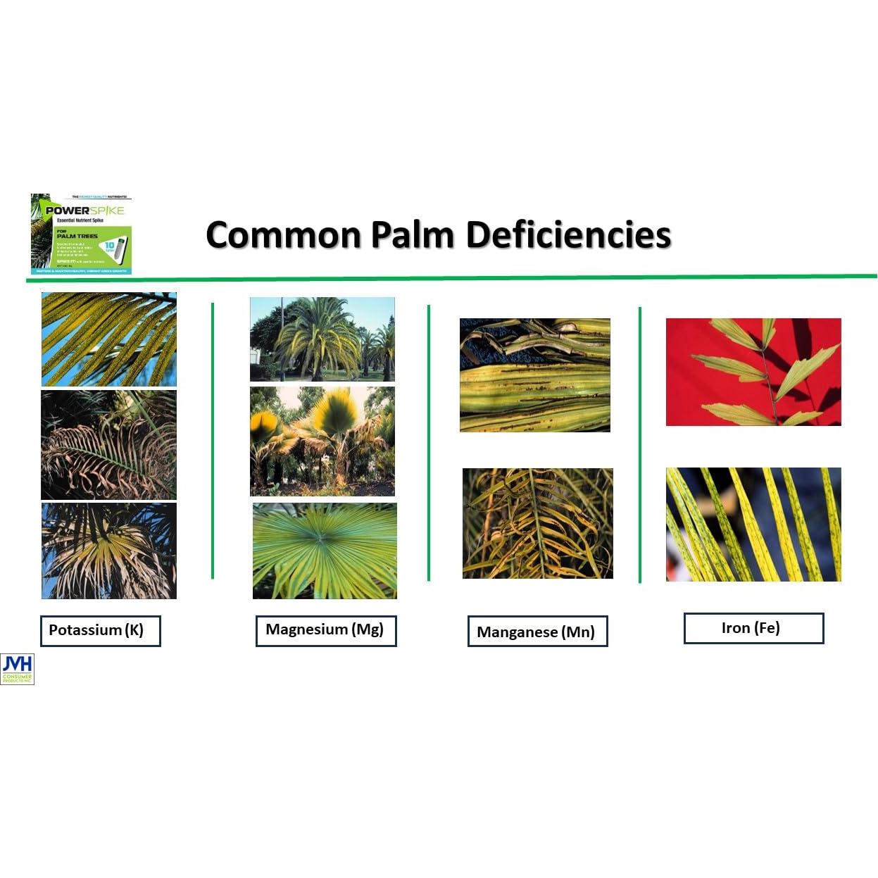 Espiga de Fertilizante para Palmeras JVH 10 Unidades 1.45kg