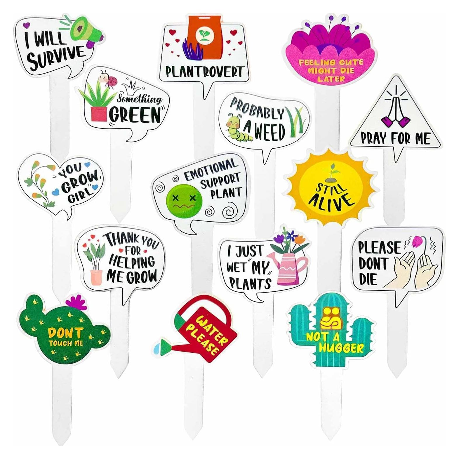 15 Etiquetas de Madera para Plantas Auswalar - Jardín Divertido