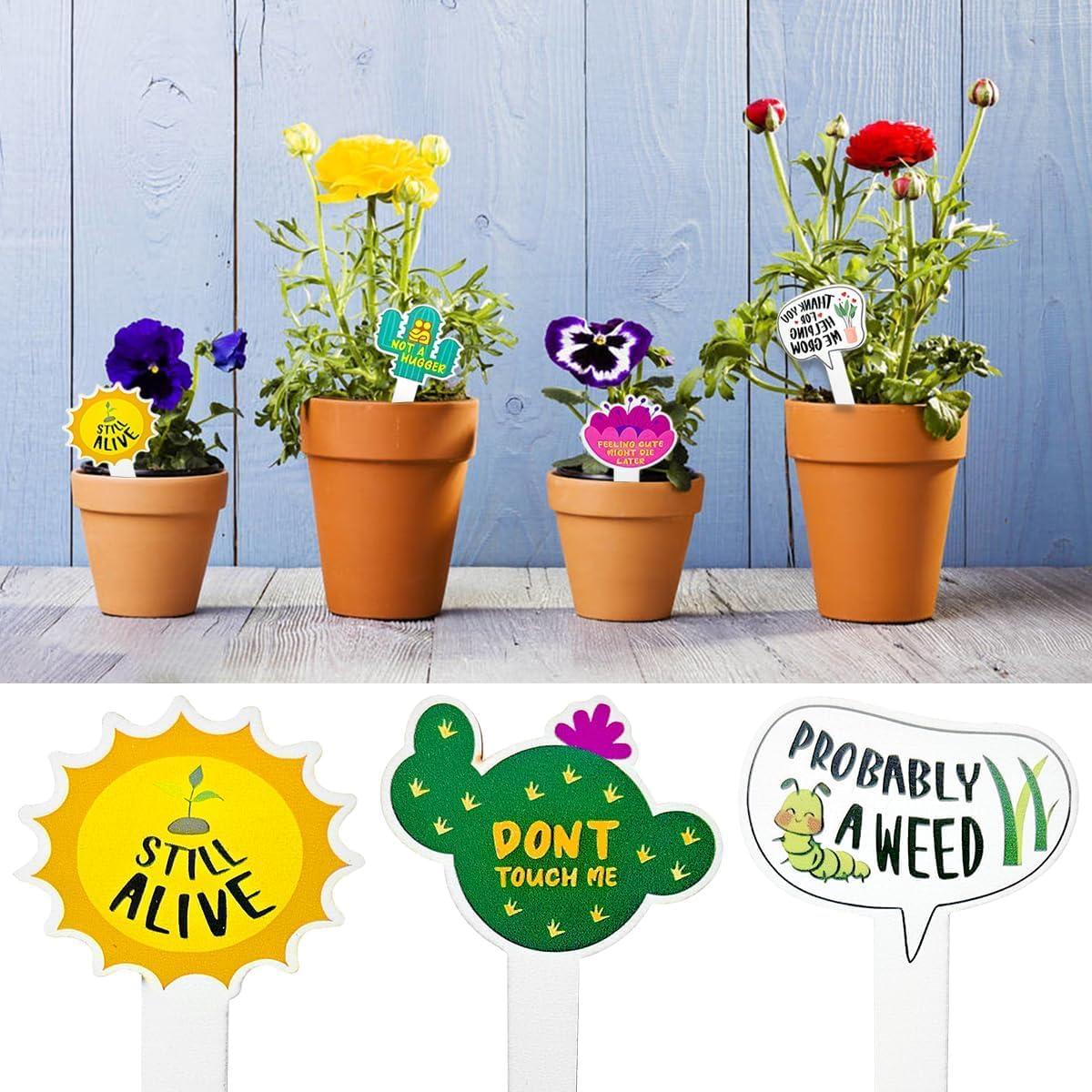 15 Etiquetas de Madera para Plantas Auswalar - Jardín Divertido