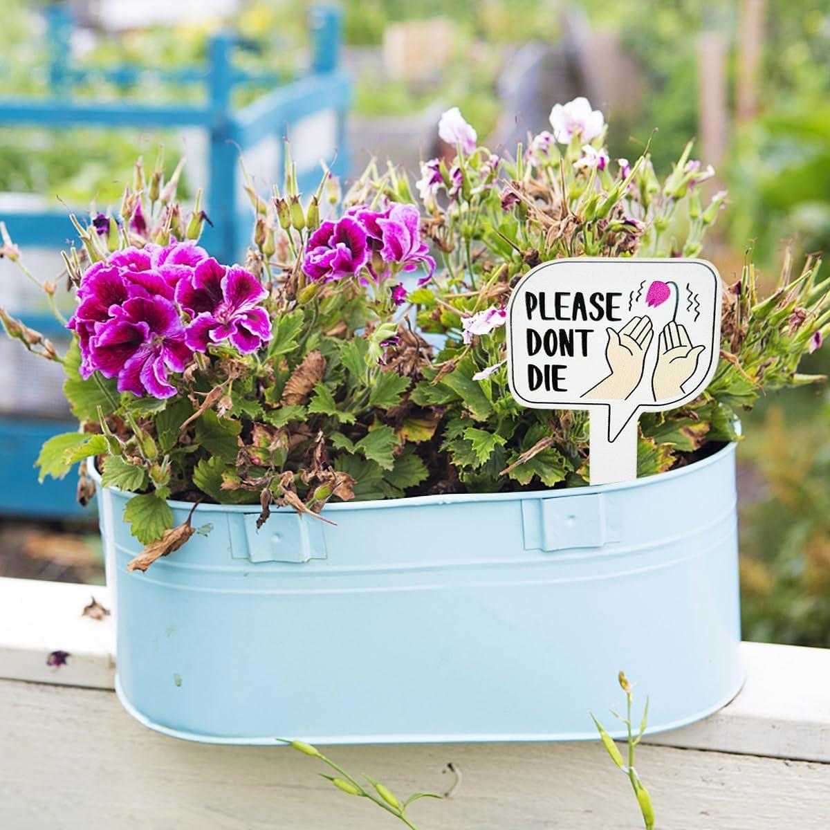 15 Etiquetas de Madera para Plantas Auswalar - Jardín Divertido