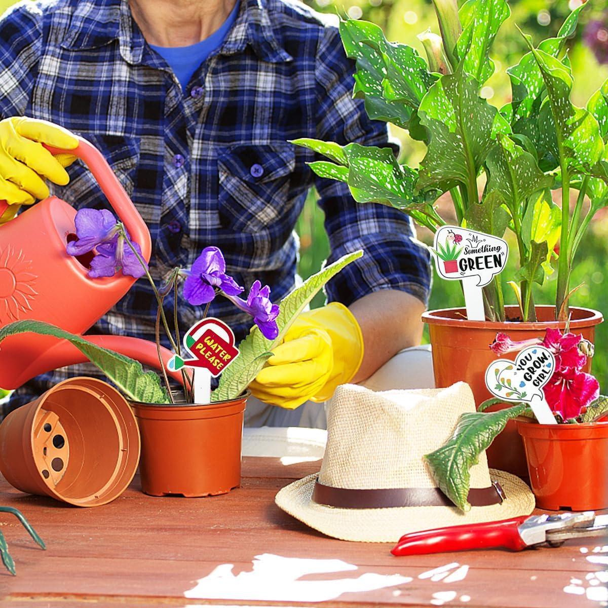 15 Etiquetas de Madera para Plantas Auswalar - Jardín Divertido