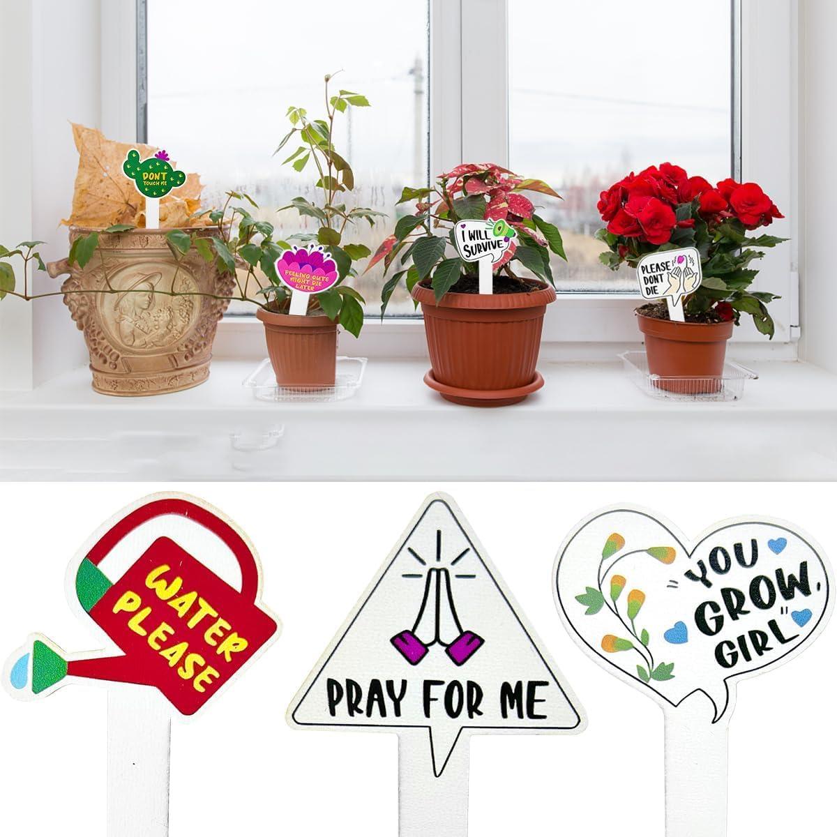 15 Etiquetas de Madera para Plantas Auswalar - Jardín Divertido